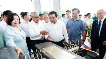 مشروع زراعة مليون هكتار من الأرز عالي الجودة يعزز مفهوم الزراعة الخضراء